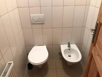 a small bathroom with a toilet and a sink at Bohemica Apartman 3 in Kouřim