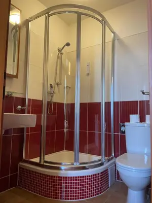 a bathroom with a shower and a toilet at Gallery Hotel SIS in Prague