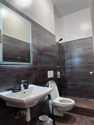 a bathroom with a sink and a toilet and a mirror at Gallery Hotel SIS in Prague