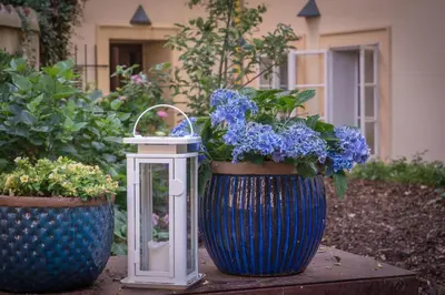 two large blue vases with blue flowers in them at Monastery Garden Prague in Prague