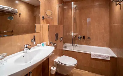 a bathroom with a sink and a toilet and a shower at EA Hotel Sonata in Prague