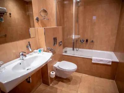a bathroom with a sink and a toilet and a shower at EA Hotel Sonata in Prague