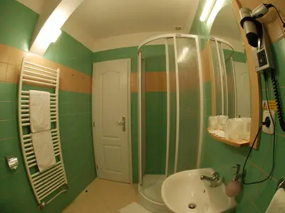a green bathroom with a shower and a sink at EA Hotel Tosca in Prague