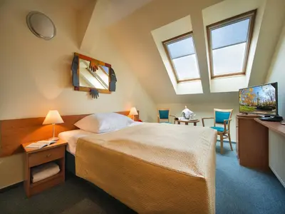 a bedroom with a bed and a tv and a window at EA Hotel Tosca in Prague