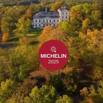 Chateau Mcely