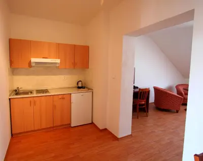 a kitchen with wooden cabinets and a table in a room at Apart Hotel Susa in Prague