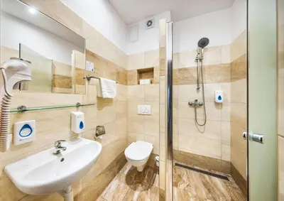 a bathroom with a shower and a toilet and a sink at Residence BENE in Prague