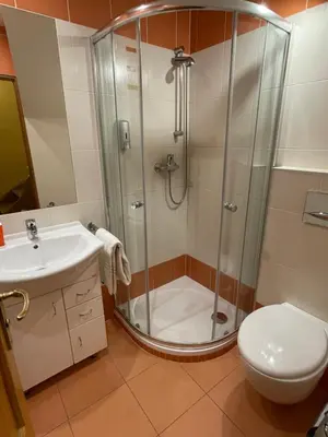 a bathroom with a shower and a toilet and a sink at Hotel King George in Prague