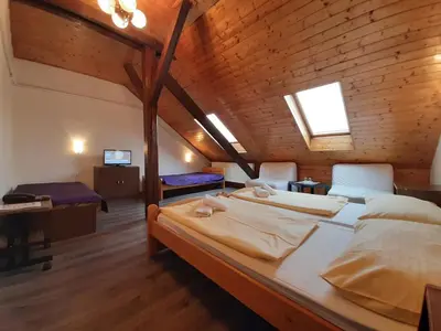a bedroom with two beds in a wooden room at Hotel Olga in Prague