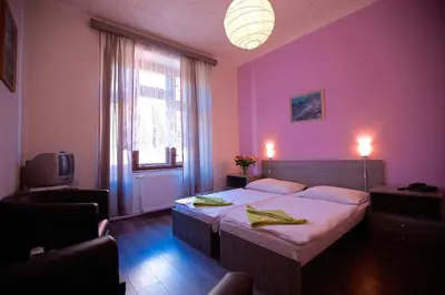 a bedroom with a large bed with a pink wall at Hotel Olga in Prague