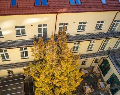 an overhead view of a tree in front of a building at VN48 Suites by Adrez in Prague