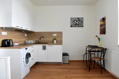 a kitchen with a sink and a washing machine at Airstay Prague apartment: Grebovka in Prague