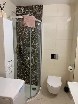 a bathroom with a shower and a toilet and a sink at Charles Square Prague Apartment in Prague