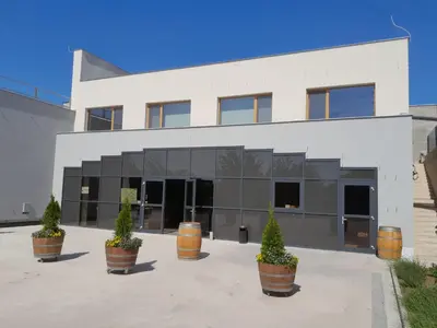 a white building with potted plants in front of it at Pension Vinařství Klučov in Klučov