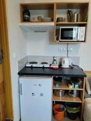 a small kitchen with a white refrigerator and a microwave at Malé útulné studio s koupelnou a kuchyňkou in Svinařov
