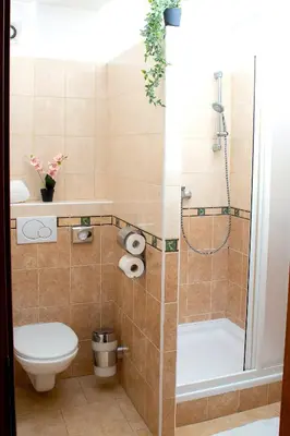 a bathroom with a shower and a toilet and a sink at Valnovka Wellness Hotel in Kamenice