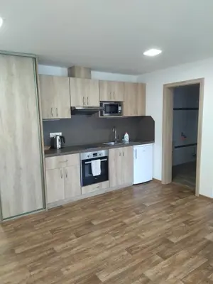 a kitchen with wooden cabinets and appliances in a room at Ubytování na statku Račice in Račice