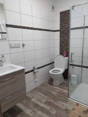 a bathroom with a toilet and a sink and a shower at Ubytování na statku Račice in Račice