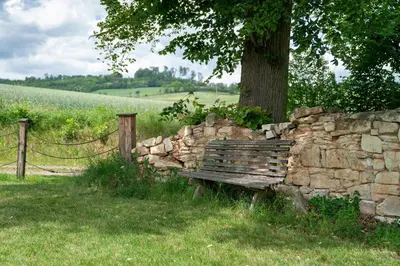 a wooden bench next to a stone wall with a tree at Smilovický Mlýn in Rakovník