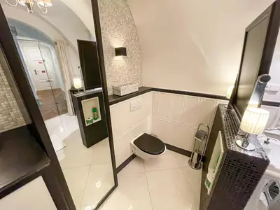 a bathroom with a toilet and a mirror at U Obecního dvora - Old Town Apartment in Prague