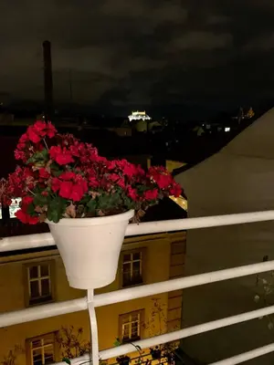 a potted plant sitting on top of a balcony at Anenska by Charles Bridge 1 in Prague