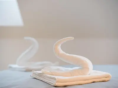 a snake on a towel on a table at BARTAL APARTMENTS - Prague in Prague