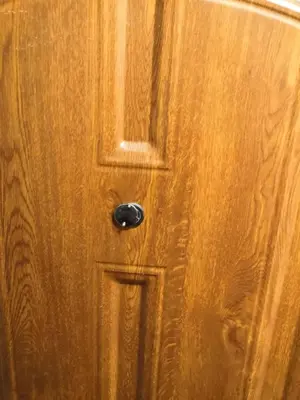 a wooden door with a black door knob at Economy flat 18 minutes from Vaclavske namesti in Prague