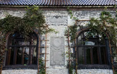 two windows on a brick building with ivy at Vila Walter & Son in Poděbrady