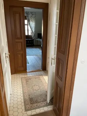 an open door into a hallway with a rug on the floor at Vila Walter & Son in Poděbrady