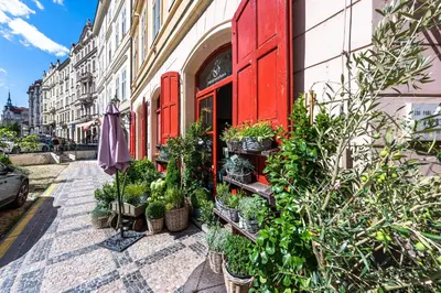 a store with red doors and potted plants on a street at Wishlist Old Prague Residences - Haštalská in Prague