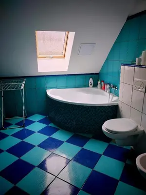 a blue bathroom with a tub and a toilet at apartmán Sázava in Sázava