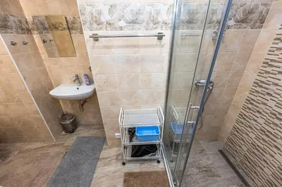 a bathroom with a shower and a sink at Apartments Safarikova 18 in Prague