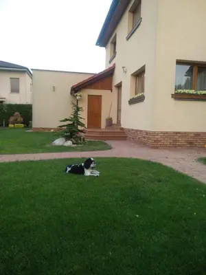 a dog laying in the grass in front of a house at DoMo apartment in Středokluky