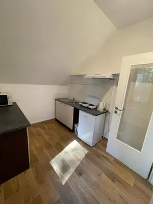 a small kitchen with a counter and a refrigerator at Kersko Apartments in Hradišťko