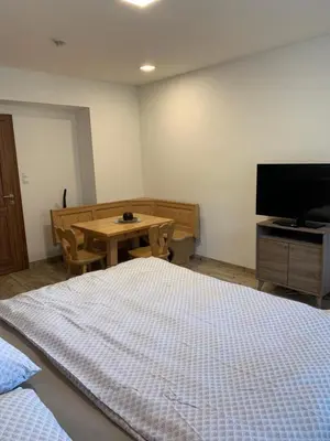a bedroom with a bed and a table and a television at Apartmány Županovice in Dobříš
