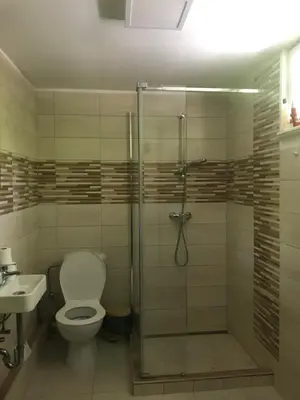 a bathroom with a shower and a toilet and a sink at Chata s duší in Beroun