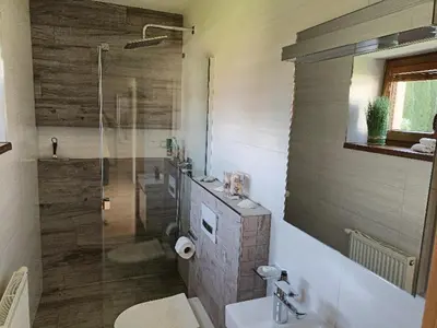 a bathroom with a shower and a toilet and a sink at Ubytování U Vrbičky - blízko Prahy in Unhošť