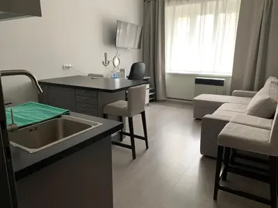a kitchen and living room with a sink and a couch at APARTMEN PRAHA in Prague
