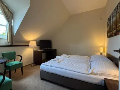 a bedroom with a bed and a desk and a television at Bechnerův statek in Lány