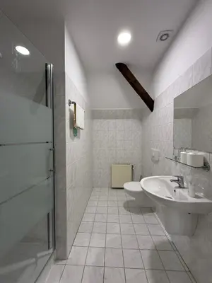 a white bathroom with a sink and a shower at Bechnerův statek in Lány