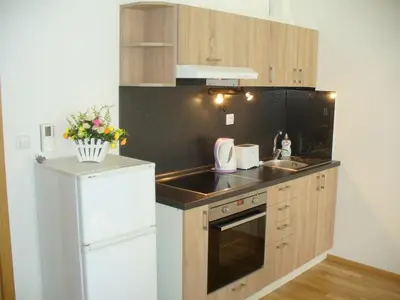 a small kitchen with a sink and a refrigerator at Garden apartment with garage in central Prague in Prague