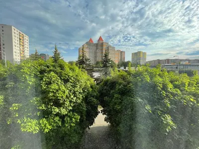 a view of a city with trees and buildings at MONFas APARTMENT BARRANDOV in Prague