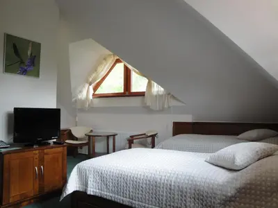 a bedroom with a bed and a tv and a window at Hotel U Parku in Hořovice