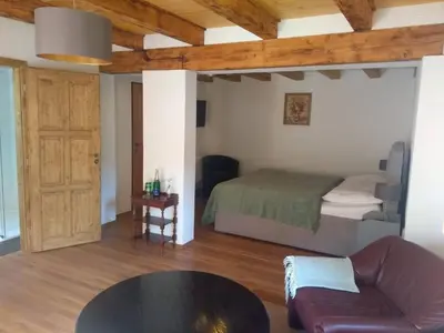 a living room with a bed and a table at Stodola-soukromý apartmán pro dva s venkovní vířivkou in Karlštejn