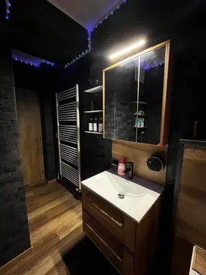 a bathroom with a sink and a mirror at MONFas APARTMENT PROVENCE IN PRAGUE in Prague