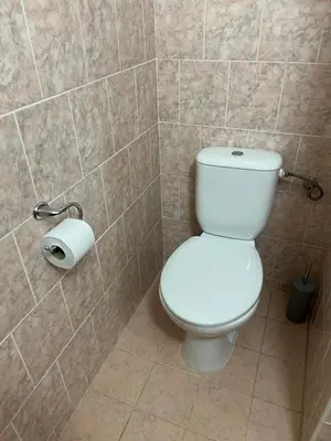 a bathroom with a toilet and a roll of toilet paper at Pension Hájek in Prague
