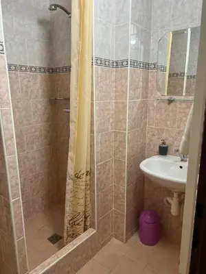 a bathroom with a shower and a sink at Pension Hájek in Prague