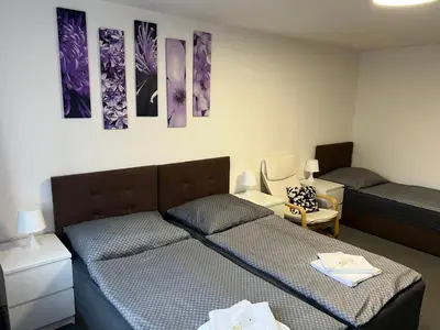 a bedroom with two beds and paintings on the wall at Pension Hájek in Prague