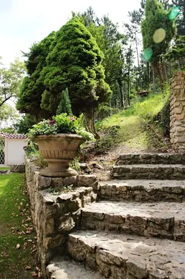 a stone stairway with a pot of flowers on it at Vila Prag in Prague