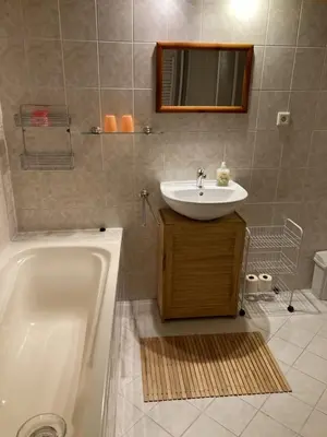 a bathroom with a sink and a bath tub at Apartmán Na Ostrově Beroun in Beroun
